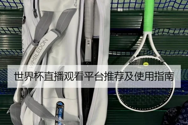世界杯直播观看平台推荐及使用指南